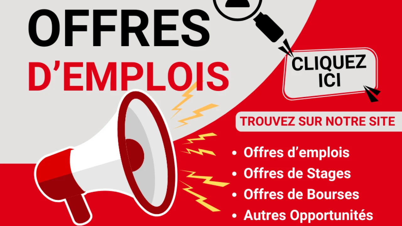 CNEE : la Direction de l’Emploi recherche des candidats pour des stages rémunérés