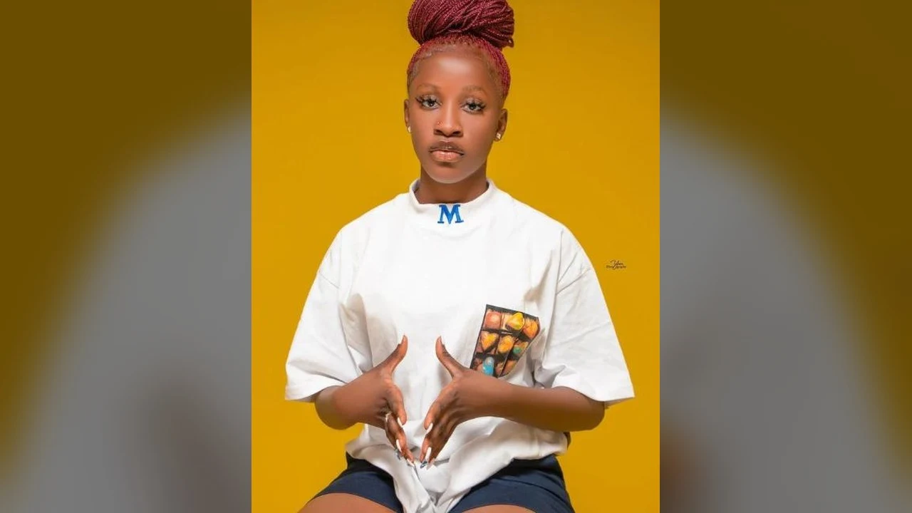 Nafi Sen Petit Galle affiche 492 400 abonnés sur TikTok, selon Seninfluenceurs