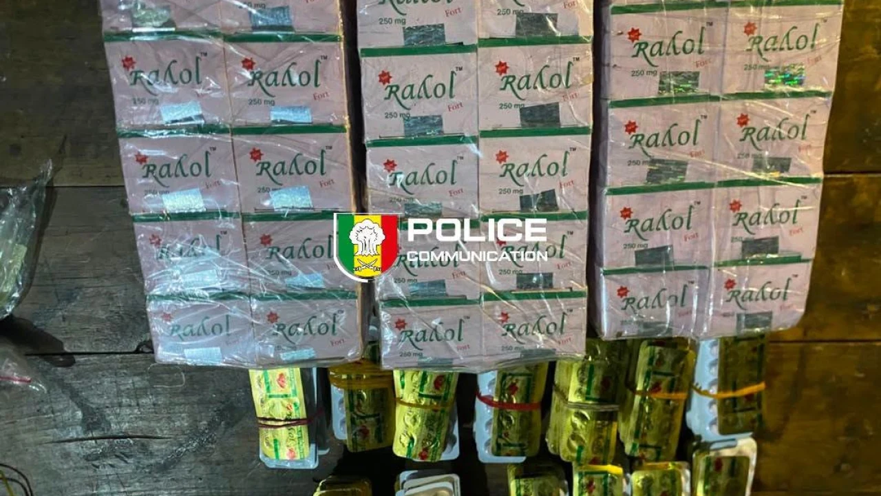 Kédougou : 4 300 comprimés de Tapentadol saisis, un individu interpellé
