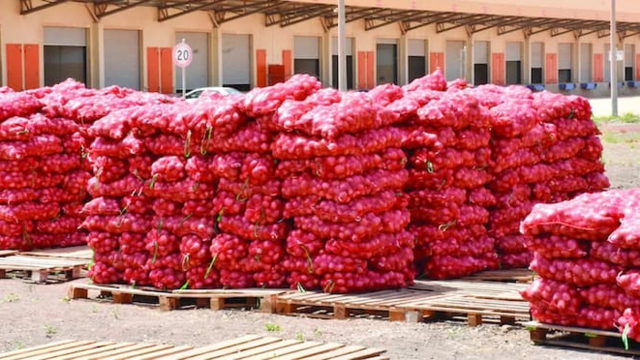 Hausse du prix de l’oignon : le sac atteint jusqu’à 16 000 FCFA au Sénégal