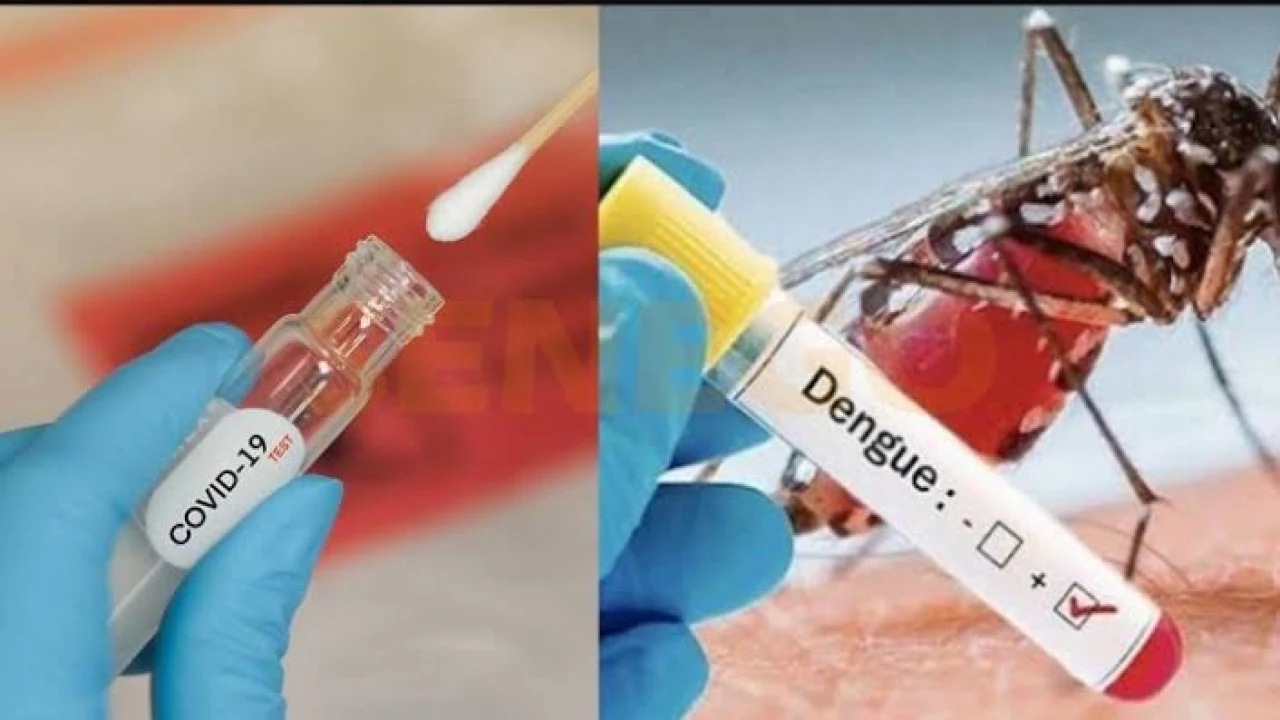 Dengue : trois premiers cas signalés à Kédougou, aucun décès rapporté