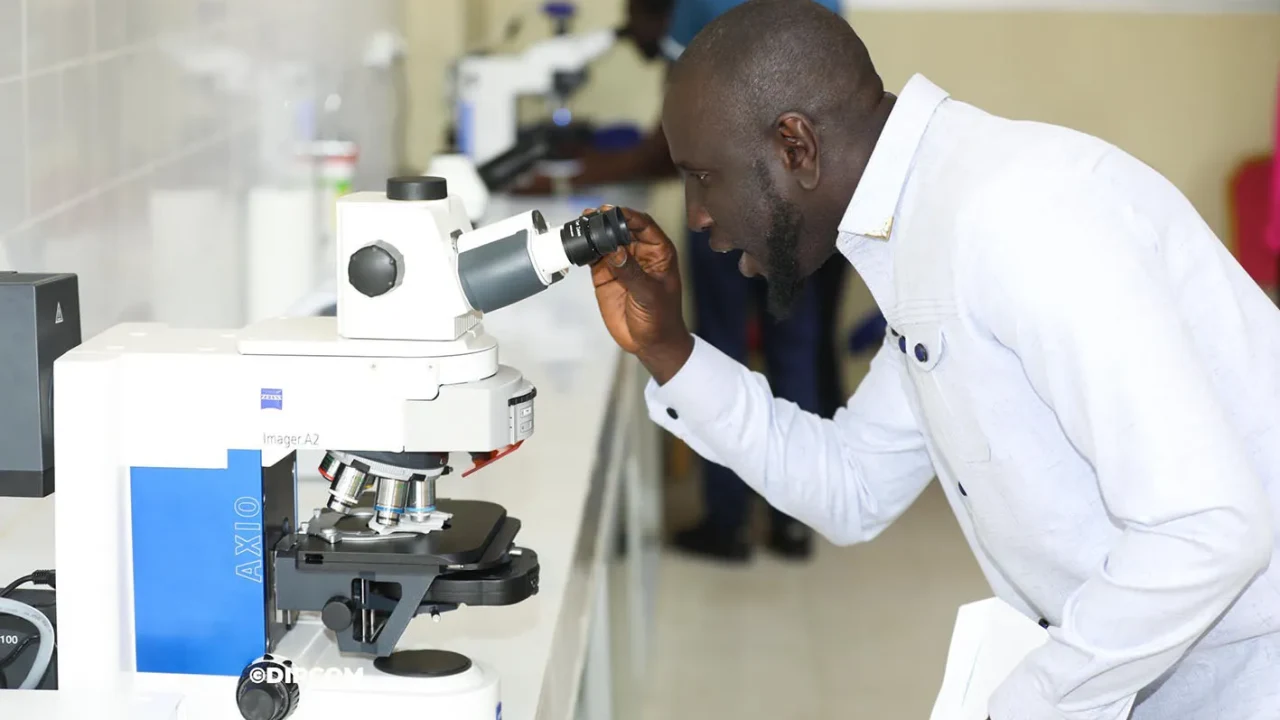 Recherche scientifique : l’Ucad représente 44,8 % des publications sénégalaises entre 2006 et 2025