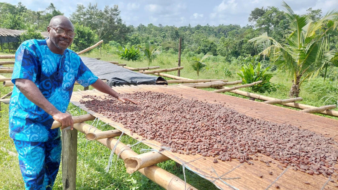 Côte d’Ivoire : la carte du producteur devient obligatoire à l’ouverture de la campagne cacao