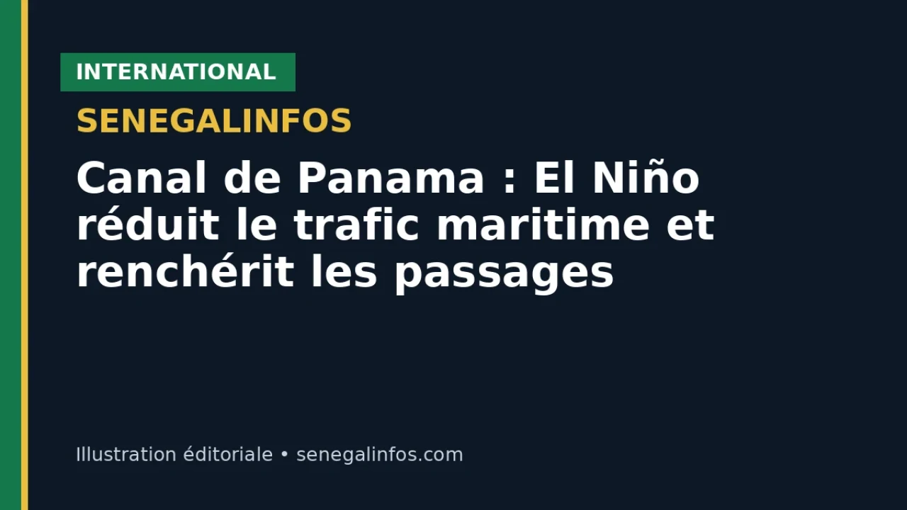 Panama Canal: El Niño reduces maritime traffic and drives up transit fees