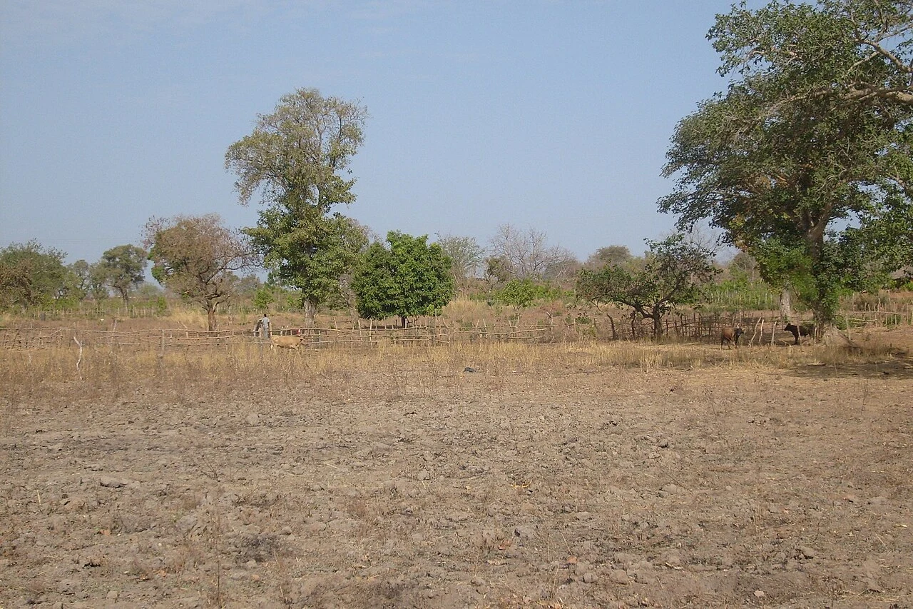 Kédougou : le secteur minier appelé à renforcer la lutte contre le paludisme