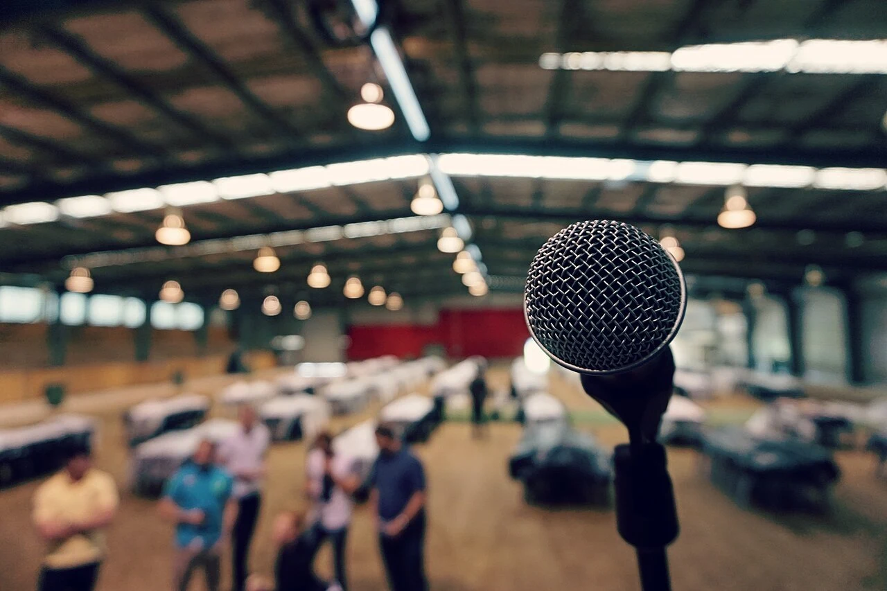 Dalifort Hip-Hop Festival : quatre jours de culture au programme